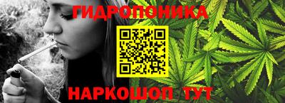каннабис Аргун