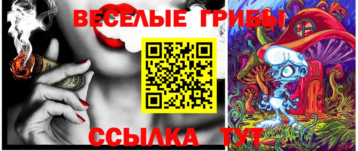 Галлюциногенные грибы Cubensis Вятские Поляны